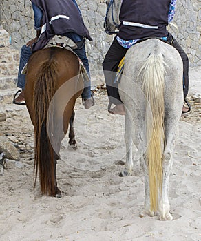 Horse riding at Hua Hin beach in Thailand