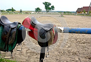 Horse riding item