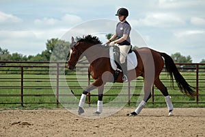 Horse riding lesson