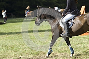 Horse riding lessons