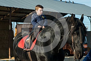 Horse riding - little boy