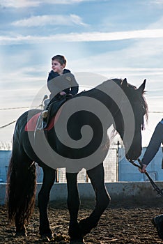 Horse riding - little boy