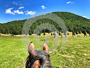 Horse riding in nature