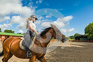 Horse riding at paddock