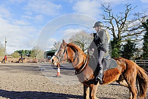 Horse riding at paddock photo