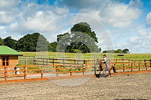 Horse riding at paddock