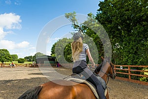 Horse riding at paddock photo