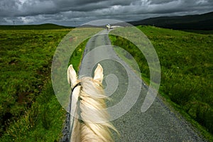 Horse Riding in Portree photo