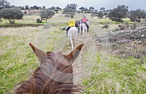 Horse riding route through Dehesa contryside photo