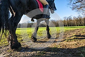 Horse riding scene in a natural parkland