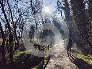 Horse riding scene in a winter morning