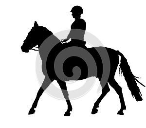 Horse riding silhouette 