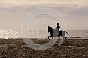 Horse riding silhouette at the beach in a clear golden hour