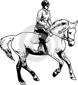 Horse riding sketch illustration