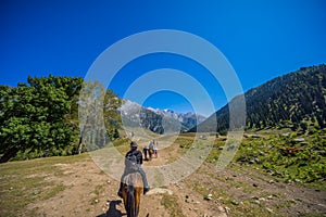 Horse riding at Sonamarg Valley of Kashmir, India.