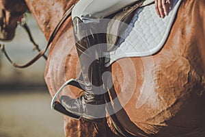 Horse Riding Stirrups photo