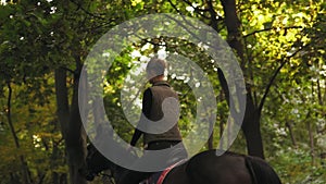 Horse riding in the summer forest. Young female rider on the horse on a shady forest gallop. Allure gallop. Horseback