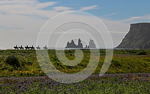 Horse riding tour exploring Vik in Iceland