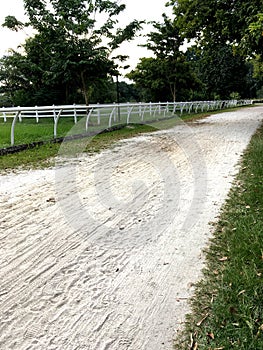 Horse riding track with white trails