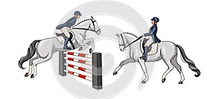 Horse Riding Woman Riding Dressage Horse in Cartoon Style