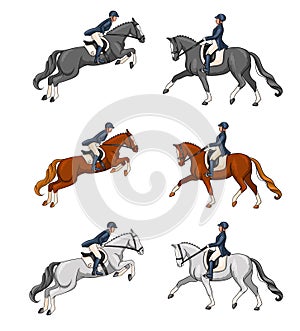 Horse Riding Woman Riding Dressage Horse in Cartoon Style