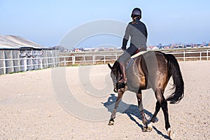 Horse riding . YoHorse riding . Young girl riding a horse .