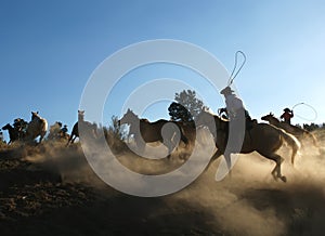 Horse Roundup at Dusk