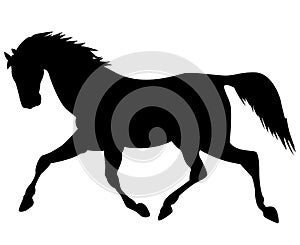 Horse running isolated silhouette vector