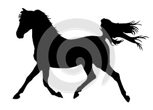 Horse running silhouette