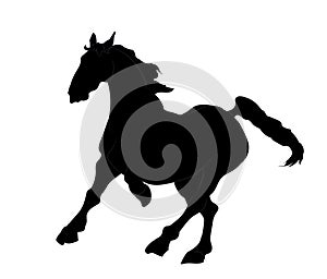 Horse running, silhouette, vector