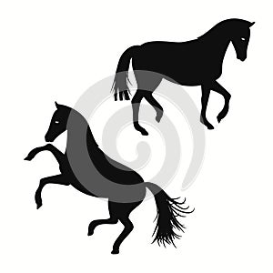 Horse running and standing black silhouettes template on white background