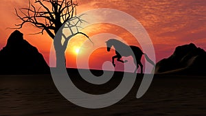 Horse Running under Sunset in the Desert