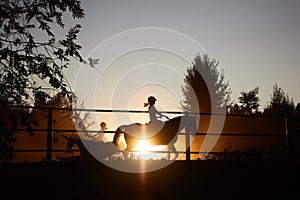 The horse runs in the corral at sunset