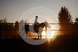 The horse runs in the corral at sunset