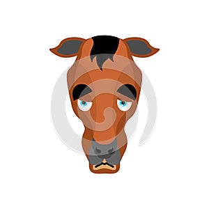 Horse sad emoji. Steed sorrowful emotions. hoss dull. Vector illustration