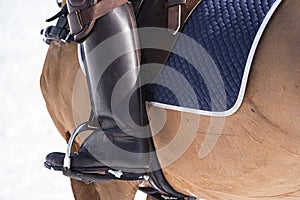 Horse and saddle detail