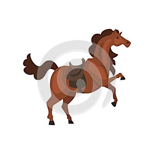 Horse with saddle vector Illustration on a white background