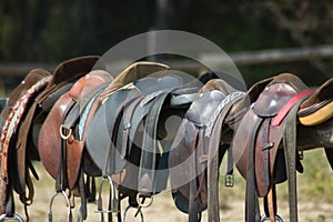 Horse saddles