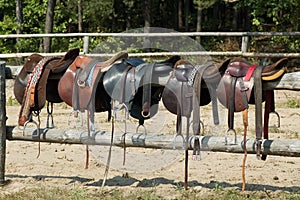 Horse saddles photo