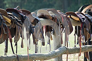 Horse saddles photo