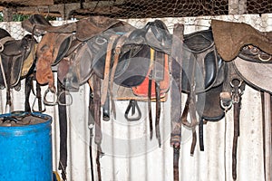 Horse saddles in barn photo