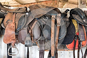 Horse saddles in stable