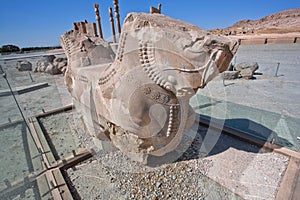 Horse sculpture from column of broken palace in Persepolis