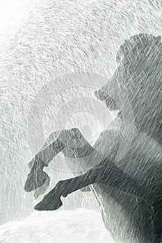 A horse sculpture in the fountain