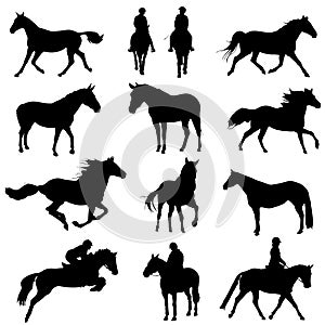 Horse set