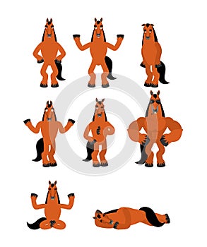 Horse set poses. Steed happy and yoga. hoss sleeping and angry. guilty and sad. Vector illustration