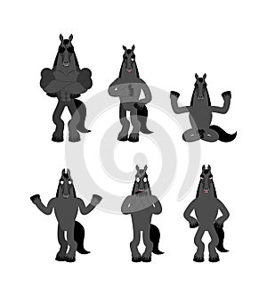 Horse set poses. Steed happy and yoga. hoss sleeping and angry. guilty and sad. Vector illustration