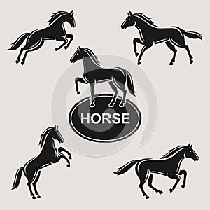 Horse set. Vector