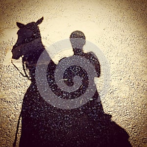 Horse shadow