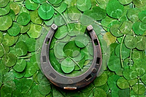 Horse shoe on green clovers background. St. Patrick`s day